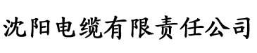 popo网站电缆厂logo